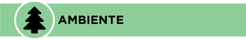 Bandi ambiente